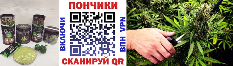 где можно купить наркотик  Рудня  Печенье с ТГК марихуана 