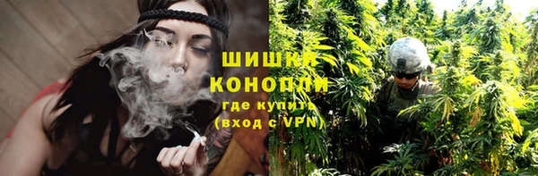 прущие грибы Пересвет