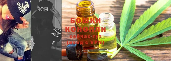 прущие грибы Пересвет