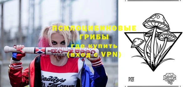 прущие грибы Пересвет