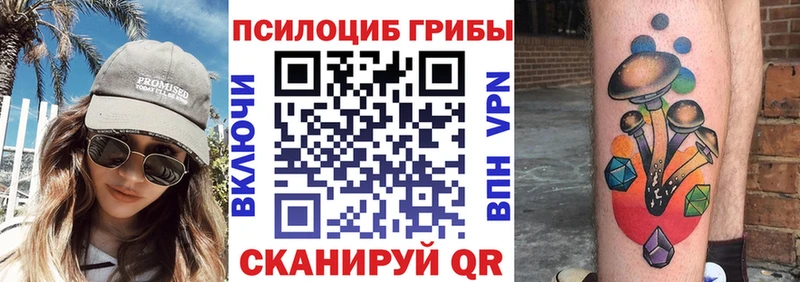 Псилоцибиновые грибы прущие грибы  ссылка на мегу   Рудня 