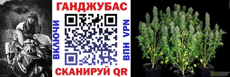 Каннабис сатива  хочу наркоту  Рудня 